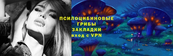 соль ск Коряжма