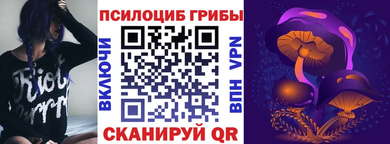 как найти   Ядрин  Галлюциногенные грибы Magic Shrooms 